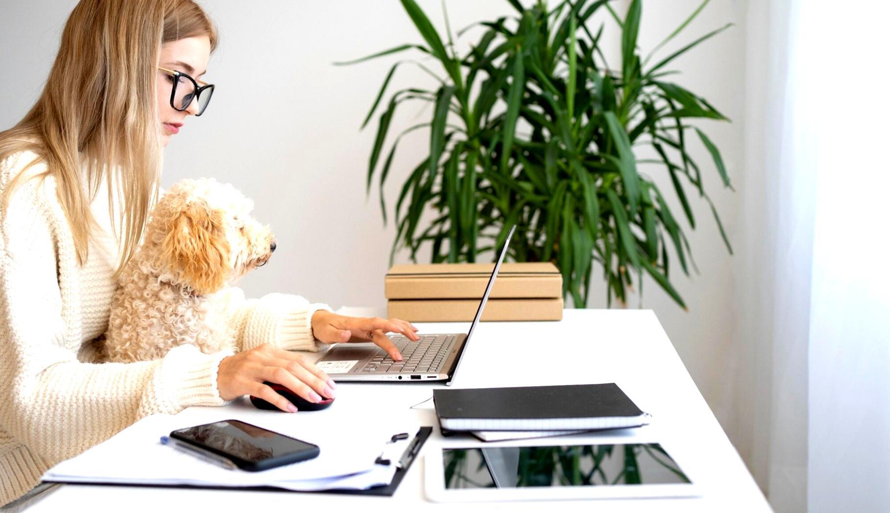 Atelier collaboratif de gestion budgétaire